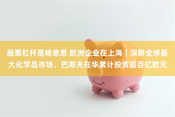 股票杠杆是啥意思 欧洲企业在上海｜深耕全球最大化学品市场，巴斯夫在华累计投资超百亿欧元