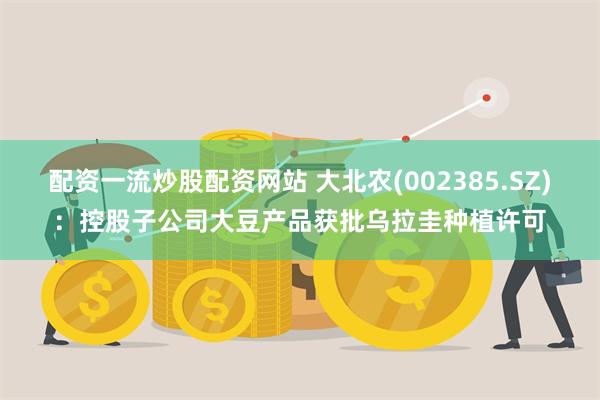 配资一流炒股配资网站 大北农(002385.SZ)：控股子公司大豆产品获批乌拉圭种植许可